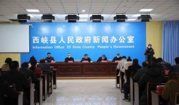 西峡县新闻爆料网电话,热线电话助力民生信息传递